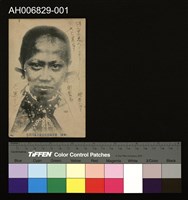 藏品(泰雅族明信片 (大正年))的圖片